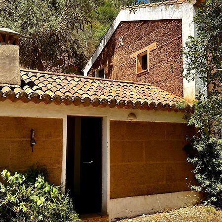 Casas Da Cerca Pensionat Troviscais Exteriör bild