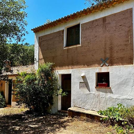 Casas Da Cerca Pensionat Troviscais Exteriör bild