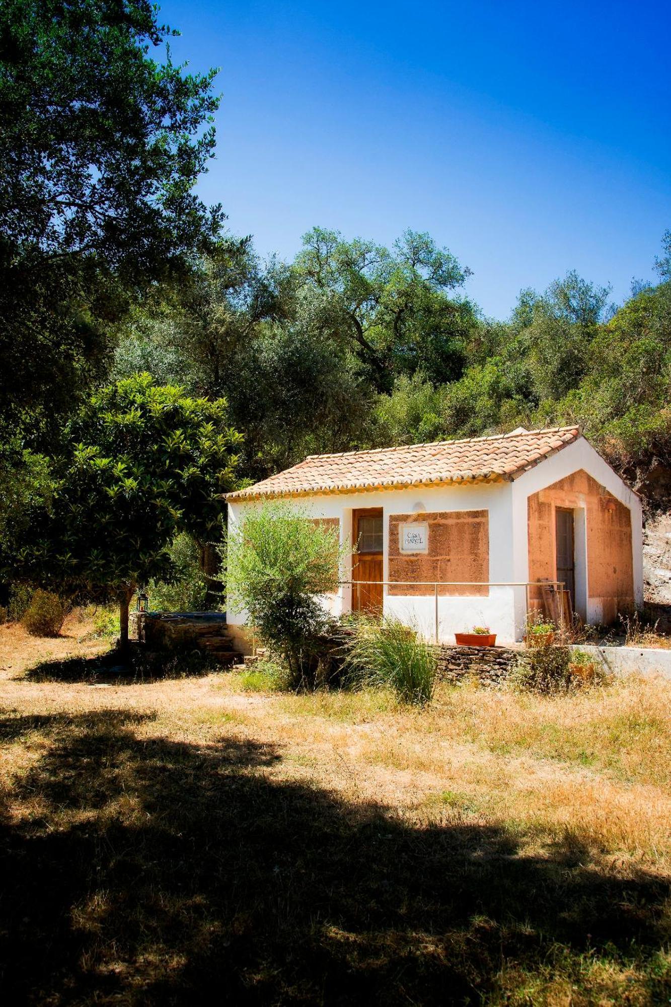 Casas Da Cerca Pensionat Troviscais Exteriör bild