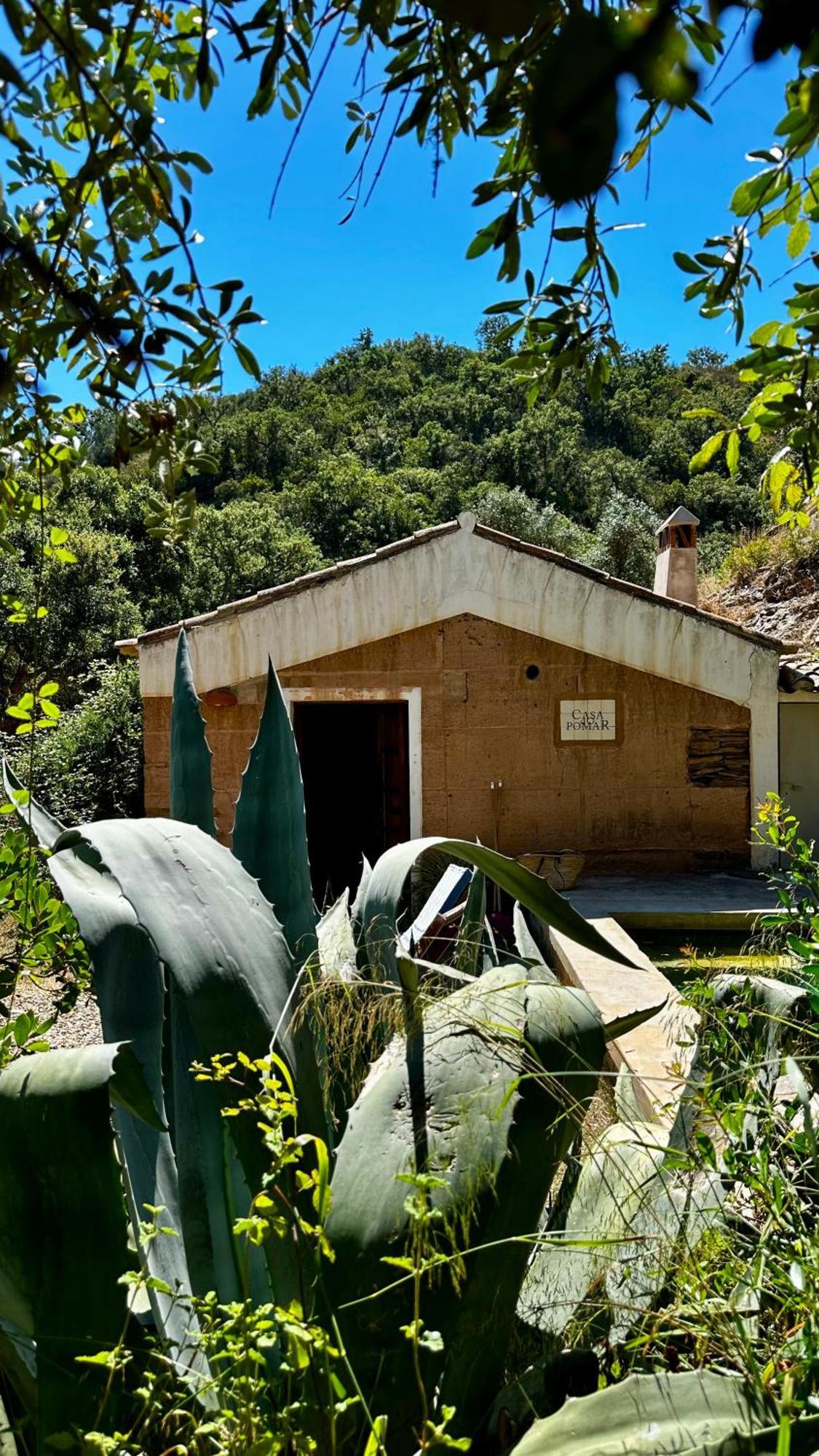 Casas Da Cerca Pensionat Troviscais Exteriör bild